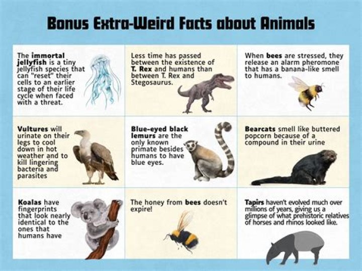 12 key facts you need to know