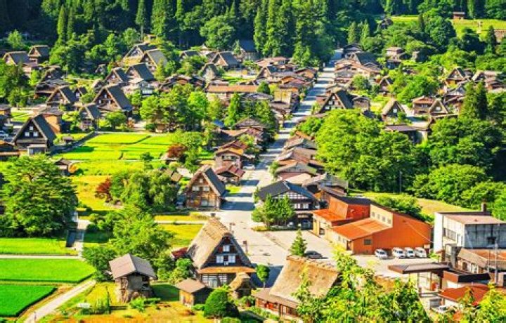 Discover The Cultural Treasures Of Japan