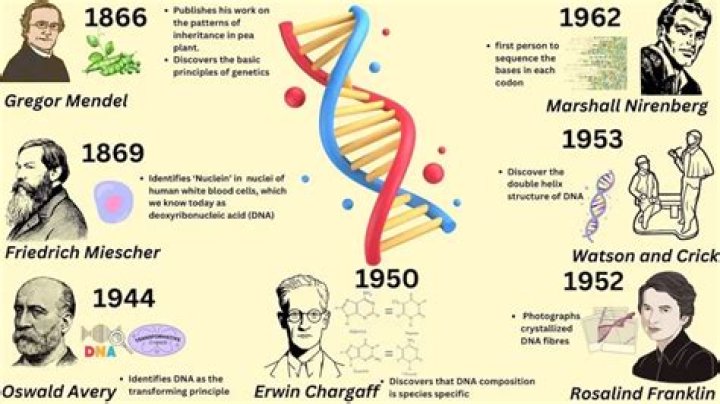 Discoveries About Eric Morgan's Mother