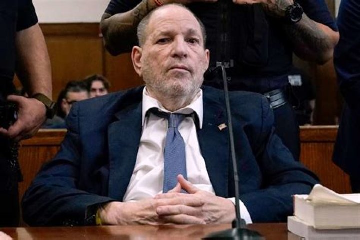 Is Nina Agdals viral image with Harvey Weinstein real?