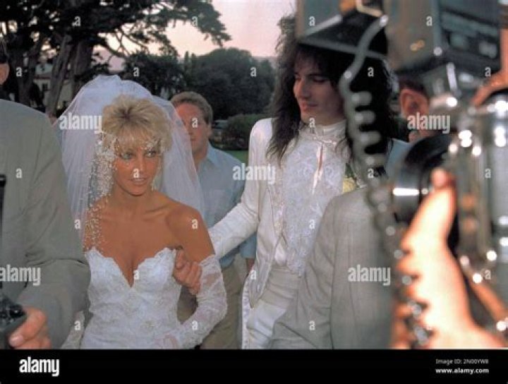 Tommy Lee and Heather Locklear wedding photos