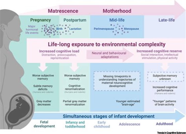 Uncovering The Bond And Journey Of Motherhood